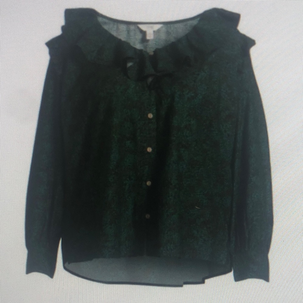 Terra & Sky Dark Green Ruffle-Neck Button Front Blouse